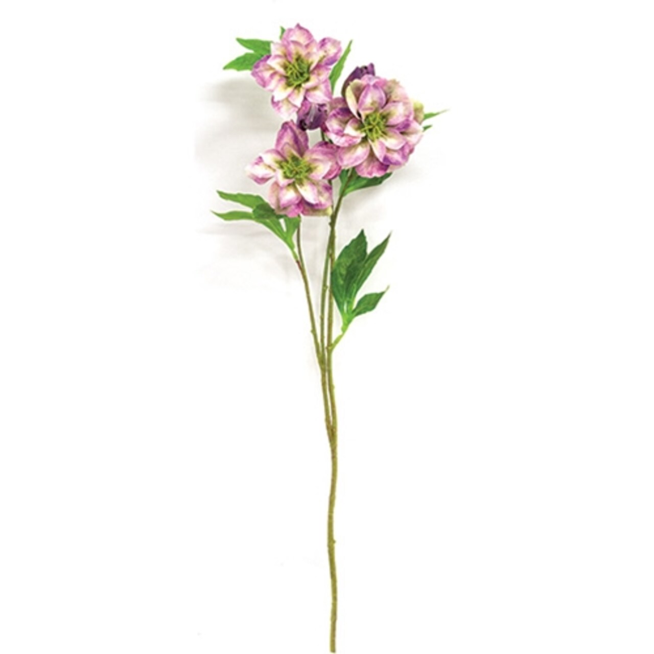 Scabiosa Spray Faux Floral Stem Green Branch Decor - Set of 3